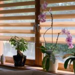 Rolety Deň a noc umocňujú dizajn interiéru a raz-dva sa vyčistia