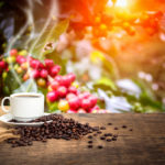 Akú kávu darovať pod stromček?