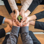 Ako môže byť každá firma ekologickejšia?