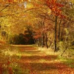 Jesenná turistika vo Veľkej Fatre má svoje čaro. Čo sa oplatí vidieť?