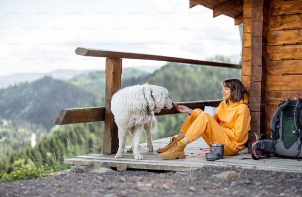 Dovolenka so zvieratami? V týchto ubytovacích zariadeniach na Slovensku vám ich nevyhodia
