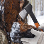 Viete, ktorá potravina má najvyššiu antioxidačnú hodnotu na svete?