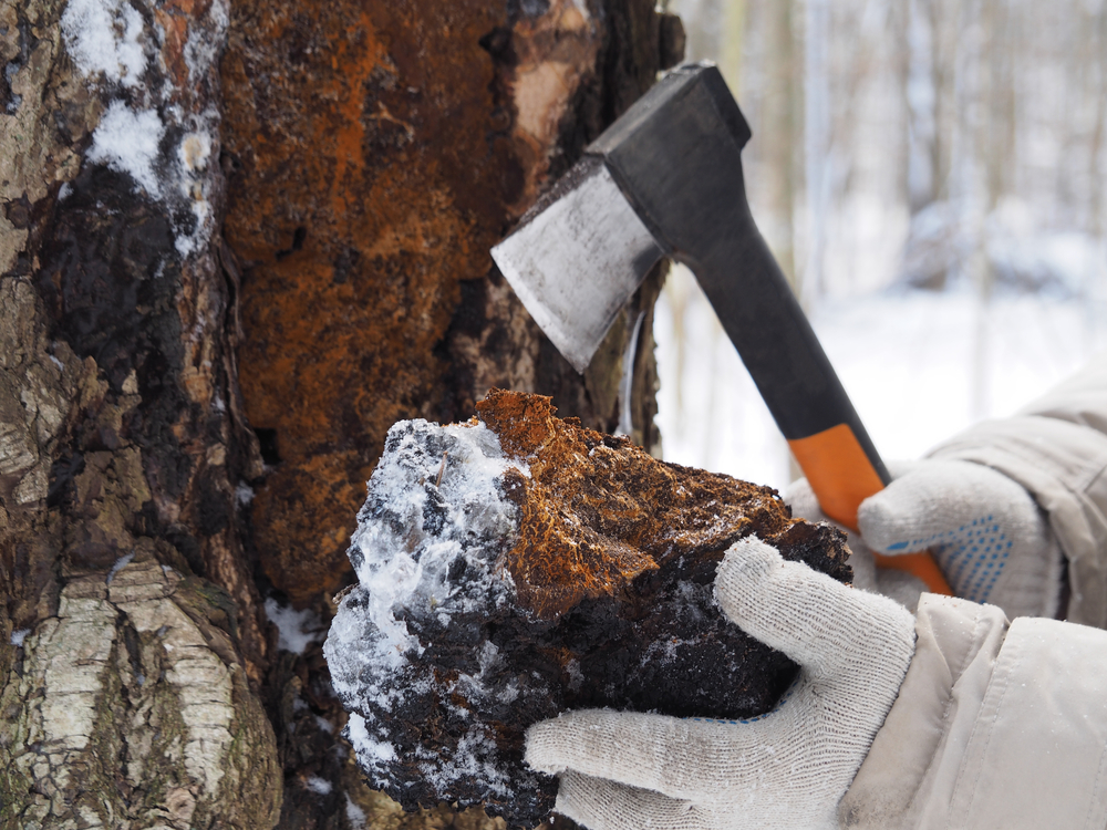 Viete, ktorá potravina má najvyššiu antioxidačnú hodnotu na svete?